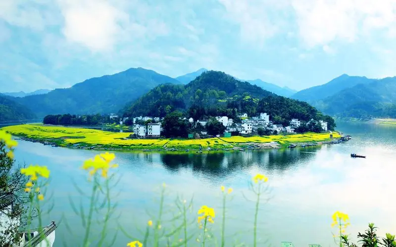 高标准高标准